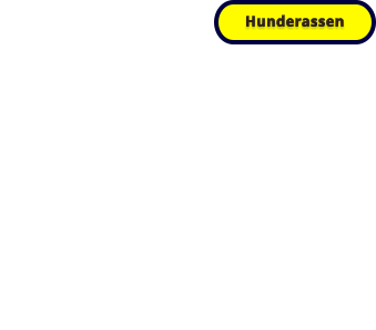 Hunderassen „Werbung“